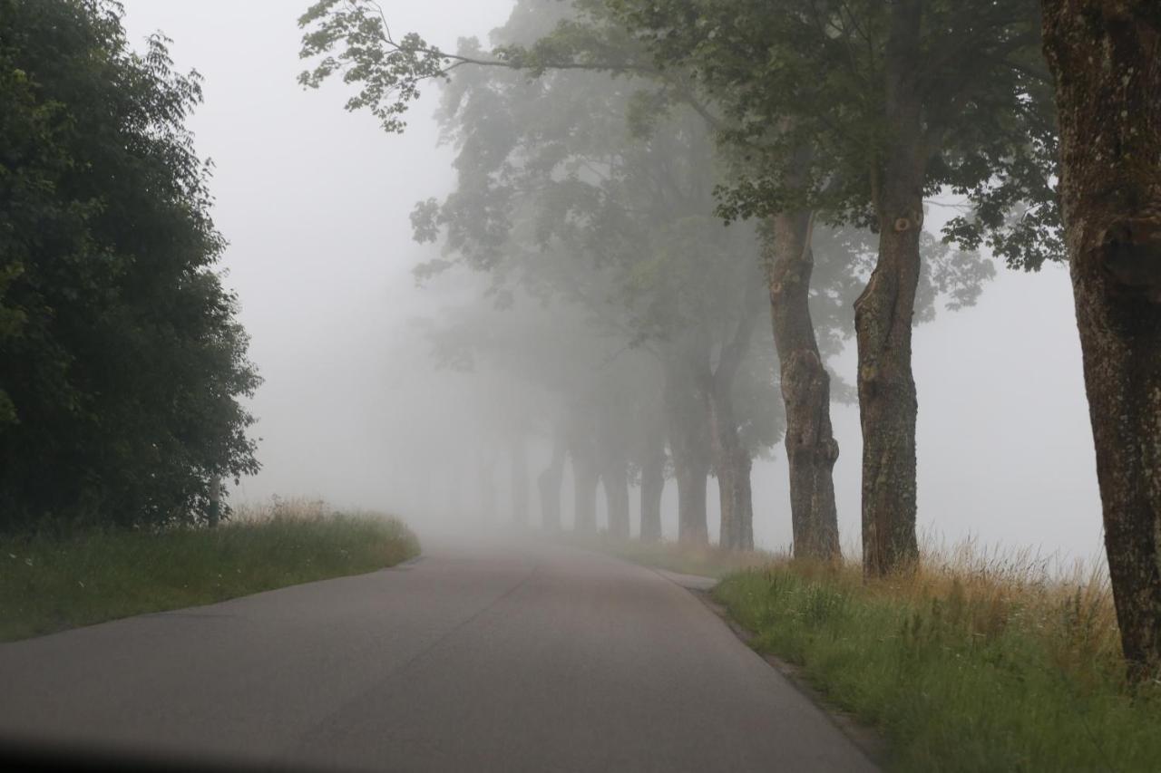 Slowinskie Widoki Domki Flora, Fauna, Noclegi Smoldzinski Las Smoldziński Las Exterior foto