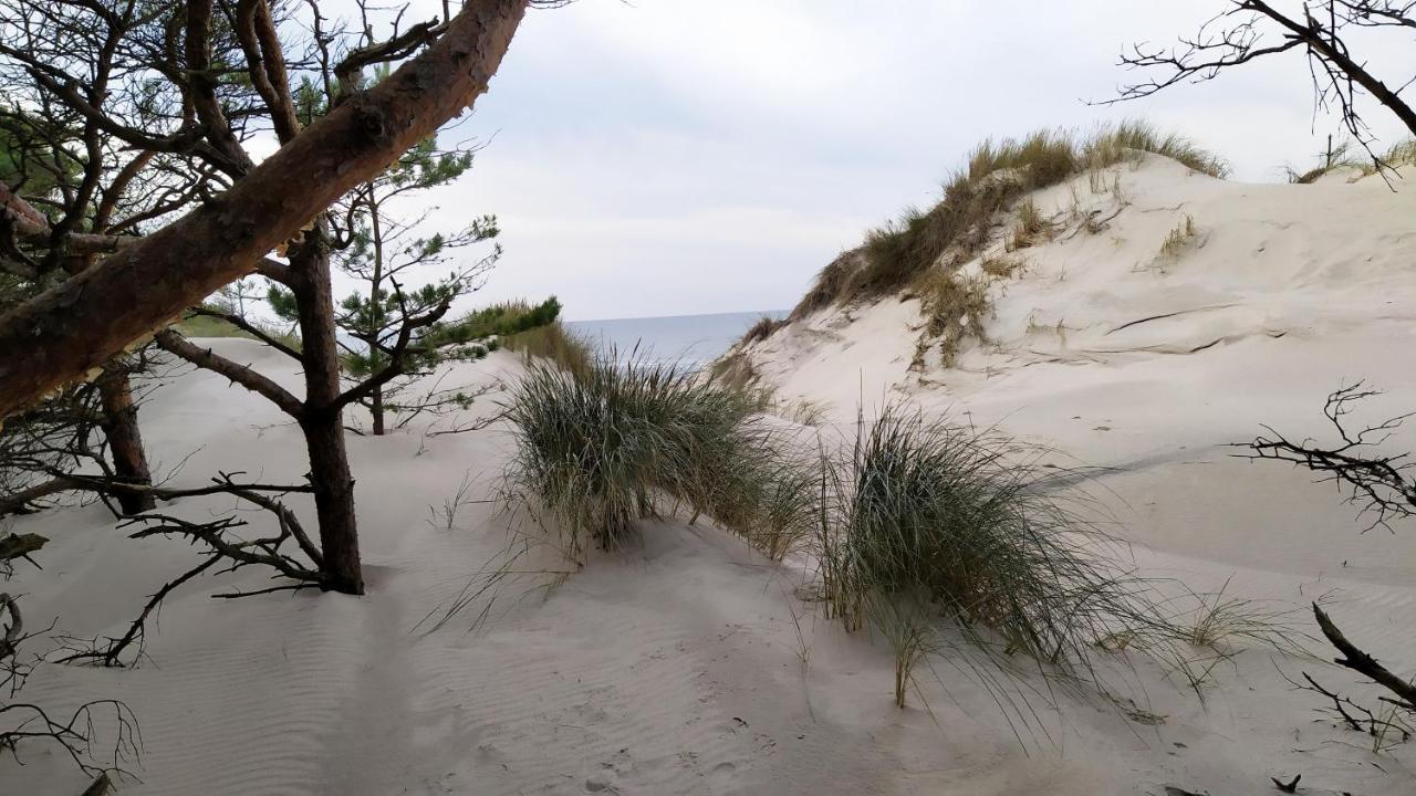 Slowinskie Widoki Domki Flora, Fauna, Noclegi Smoldzinski Las Smoldziński Las Exterior foto