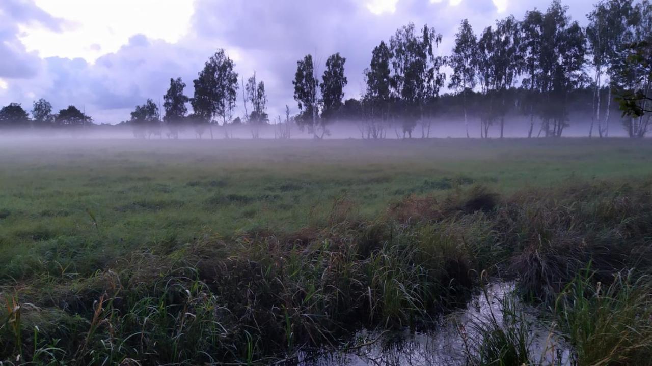 Slowinskie Widoki Domki Flora, Fauna, Noclegi Smoldzinski Las Smoldziński Las Exterior foto