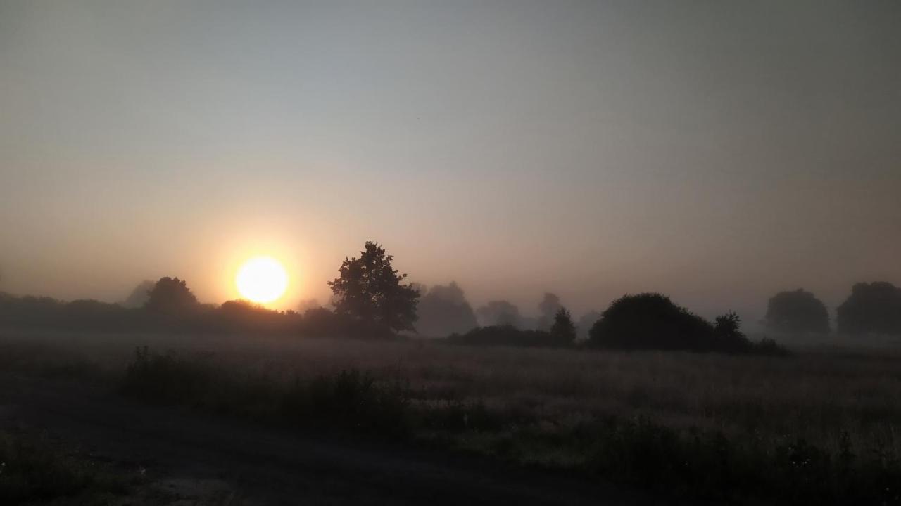 Slowinskie Widoki Domki Flora, Fauna, Noclegi Smoldzinski Las Smoldziński Las Exterior foto