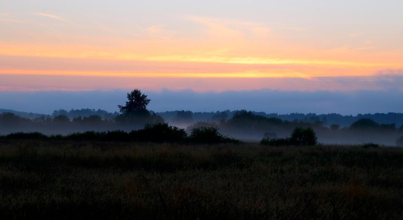 Slowinskie Widoki Domki Flora, Fauna, Noclegi Smoldzinski Las Smoldziński Las Exterior foto