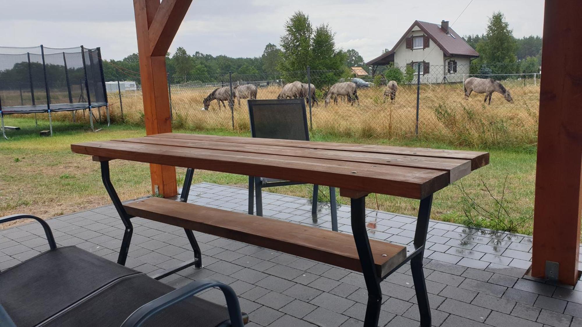 Slowinskie Widoki Domki Flora, Fauna, Noclegi Smoldzinski Las Smoldziński Las Exterior foto
