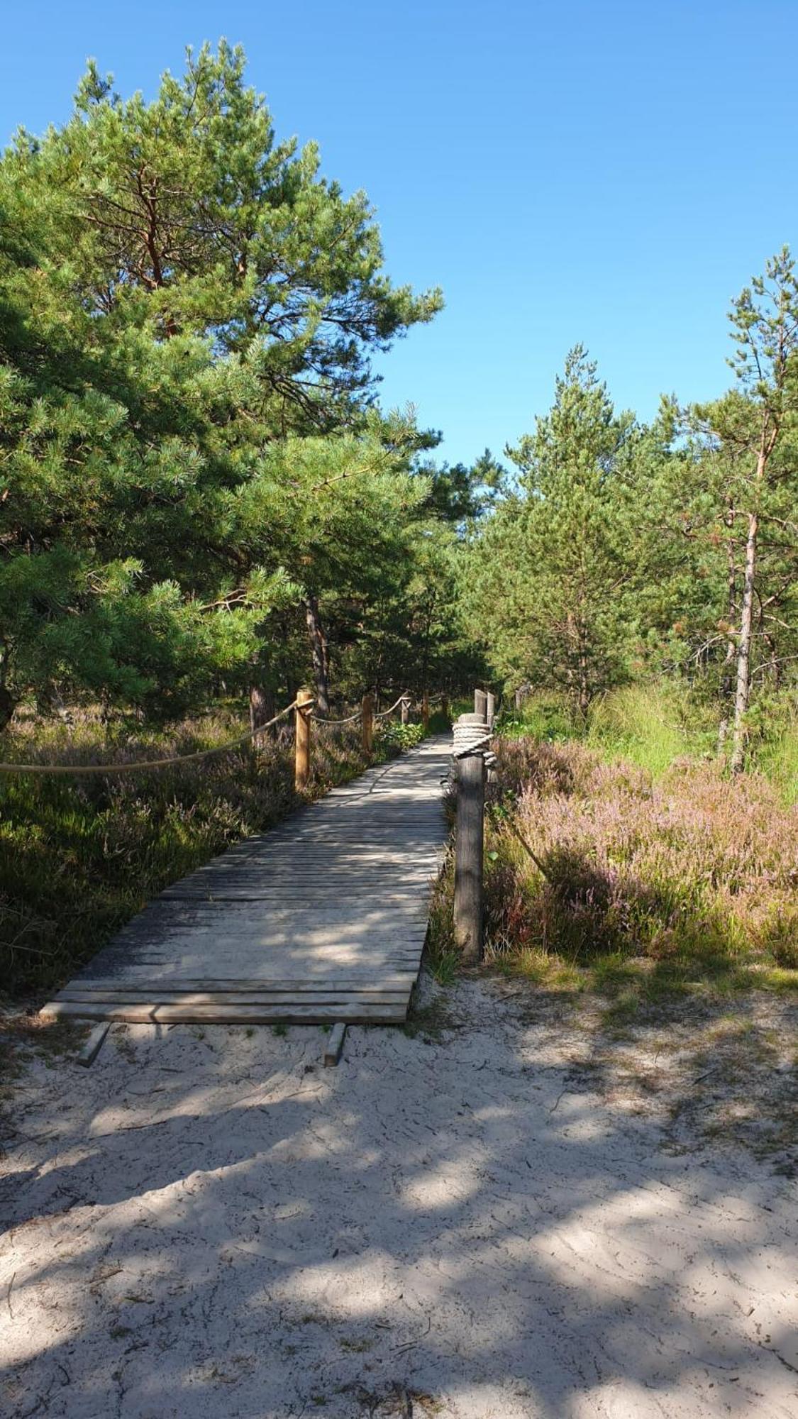 Slowinskie Widoki Domki Flora, Fauna, Noclegi Smoldzinski Las Smoldziński Las Exterior foto