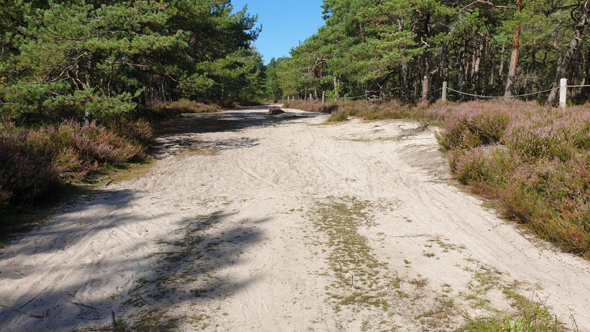 Slowinskie Widoki Domki Flora, Fauna, Noclegi Smoldzinski Las Smoldziński Las Exterior foto