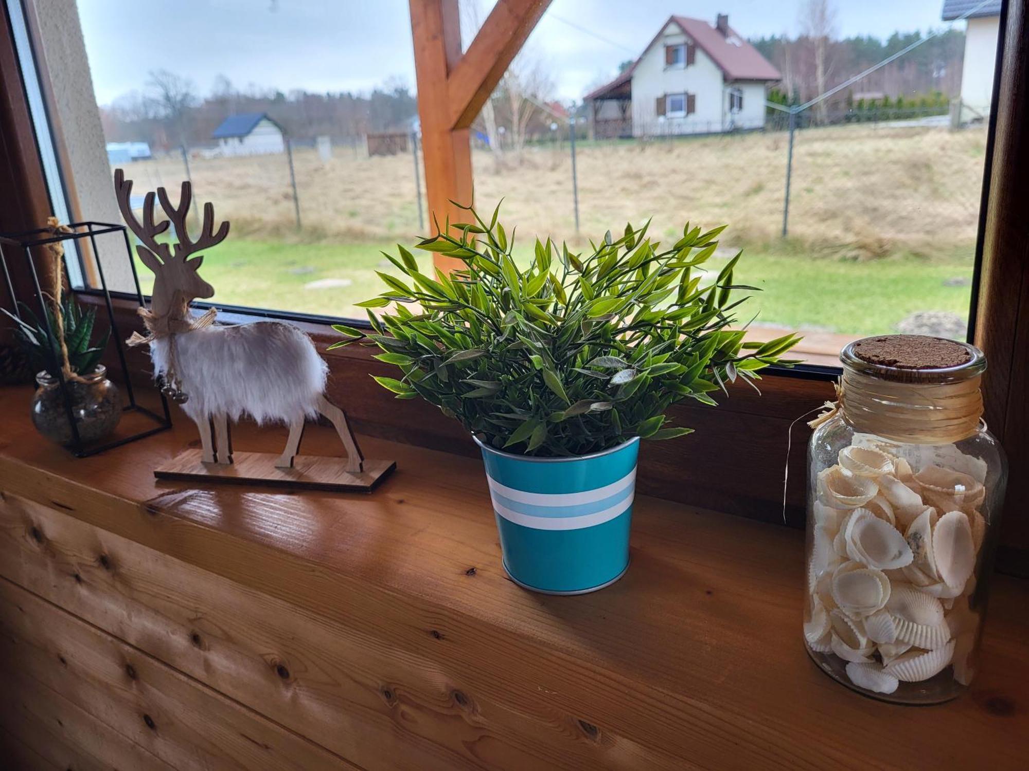 Slowinskie Widoki Domki Flora, Fauna, Noclegi Smoldzinski Las Smoldziński Las Exterior foto